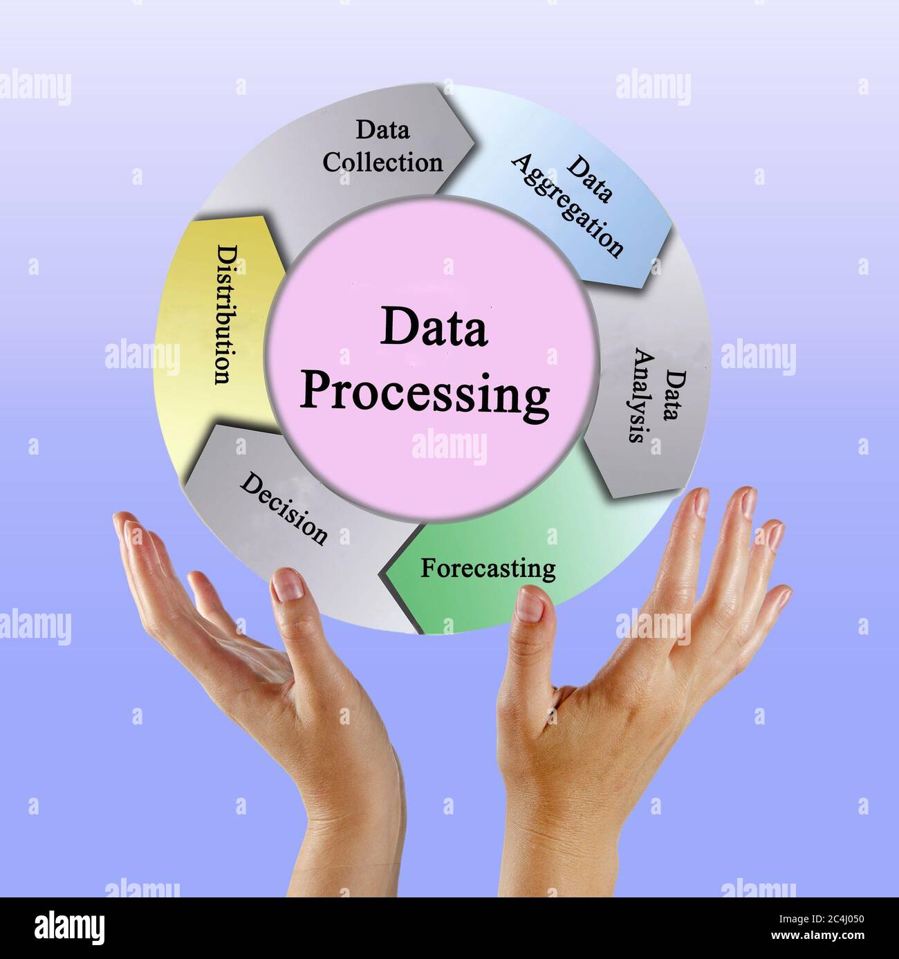 Five components of Data Processing Stock Photo - Alamy