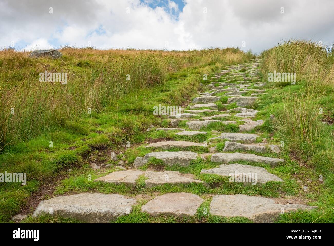 Low level view of newly laid stepping stones seen leading to a hillside ...
