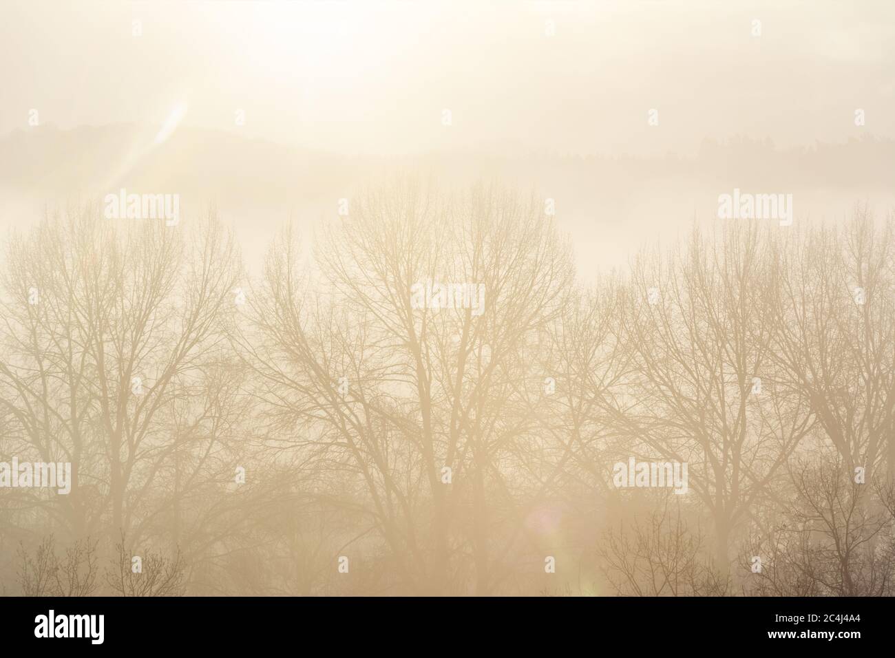 Beautiful sunrise over trees and hills on a foggy day Stock Photo - Alamy