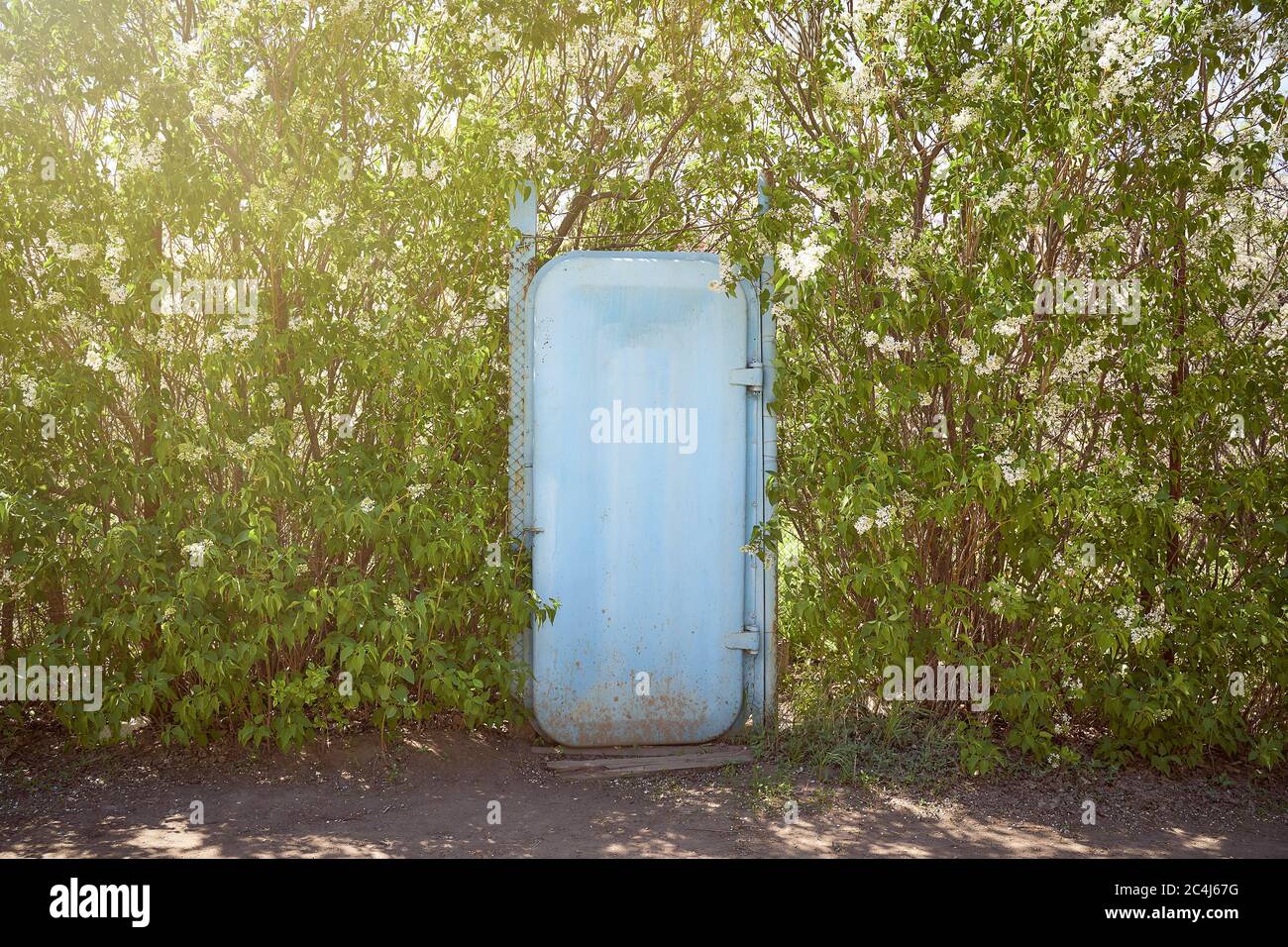 blue iron door surrounded by green trees. Light effects. Stock Photo