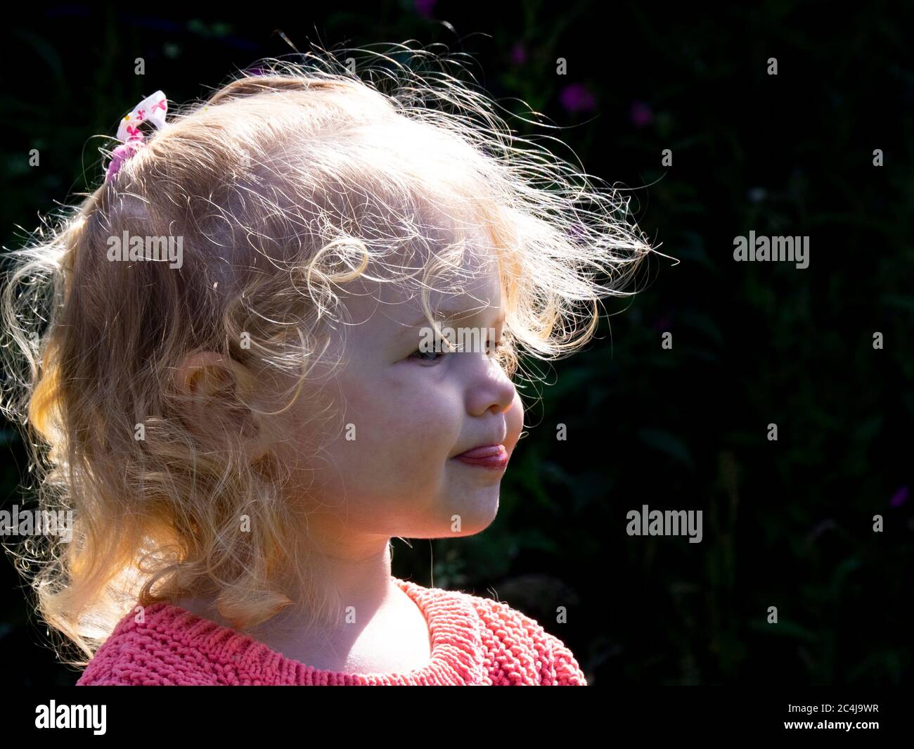 Profile portrait of a toddler, UK Stock Photo