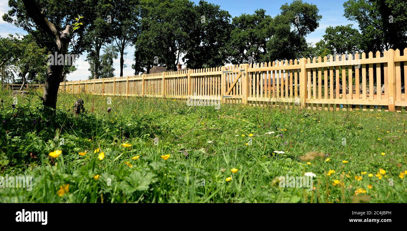 Long Oak picket fence around an orchard Stock Photo