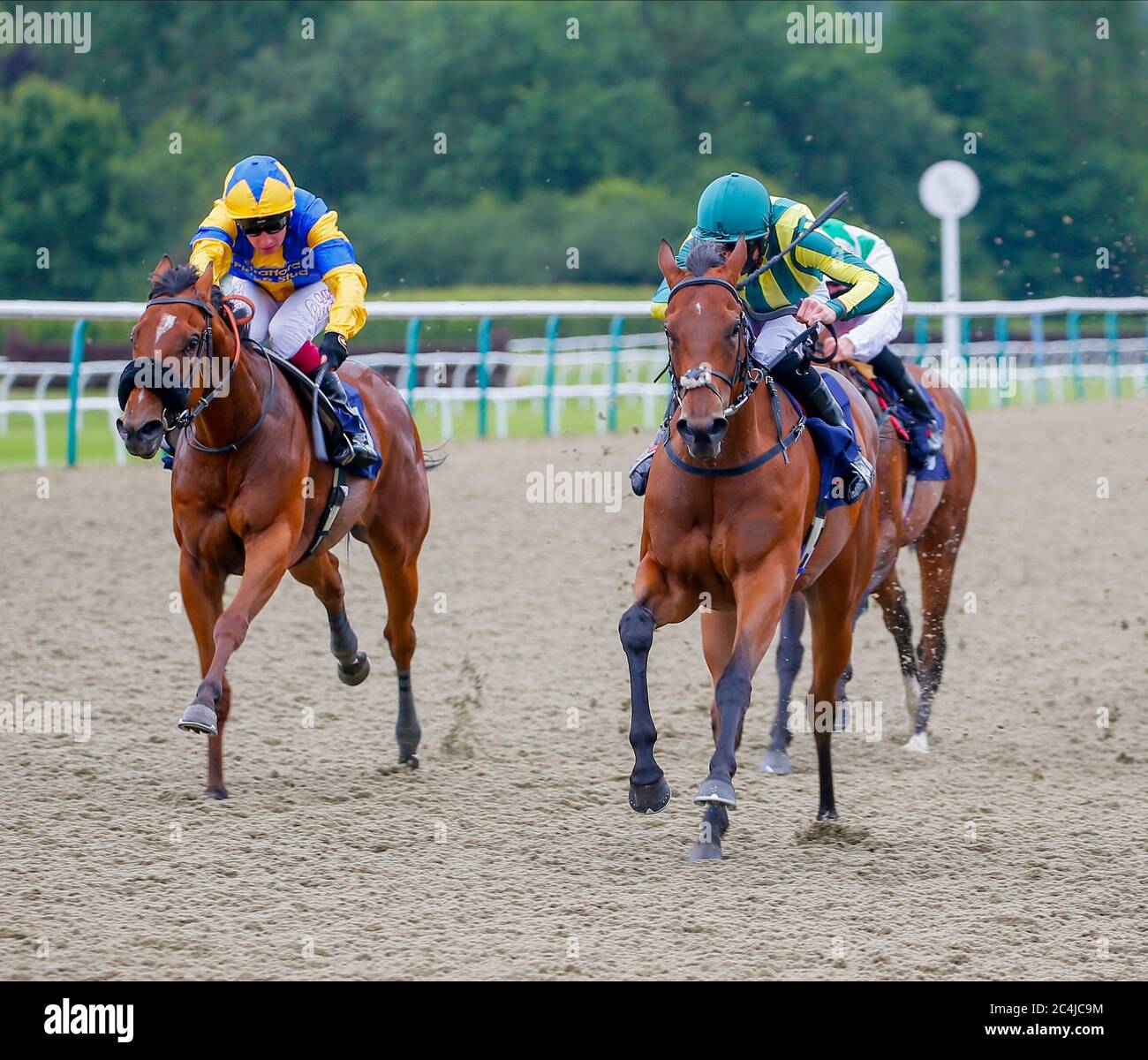Face Ridden Bungledupinblue ridden hi-res stock photography and images - Alamy