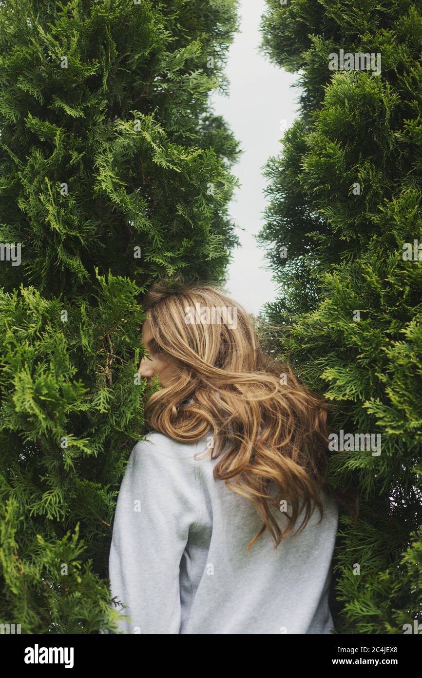 back view of young woman standing between cypresses Stock Photo