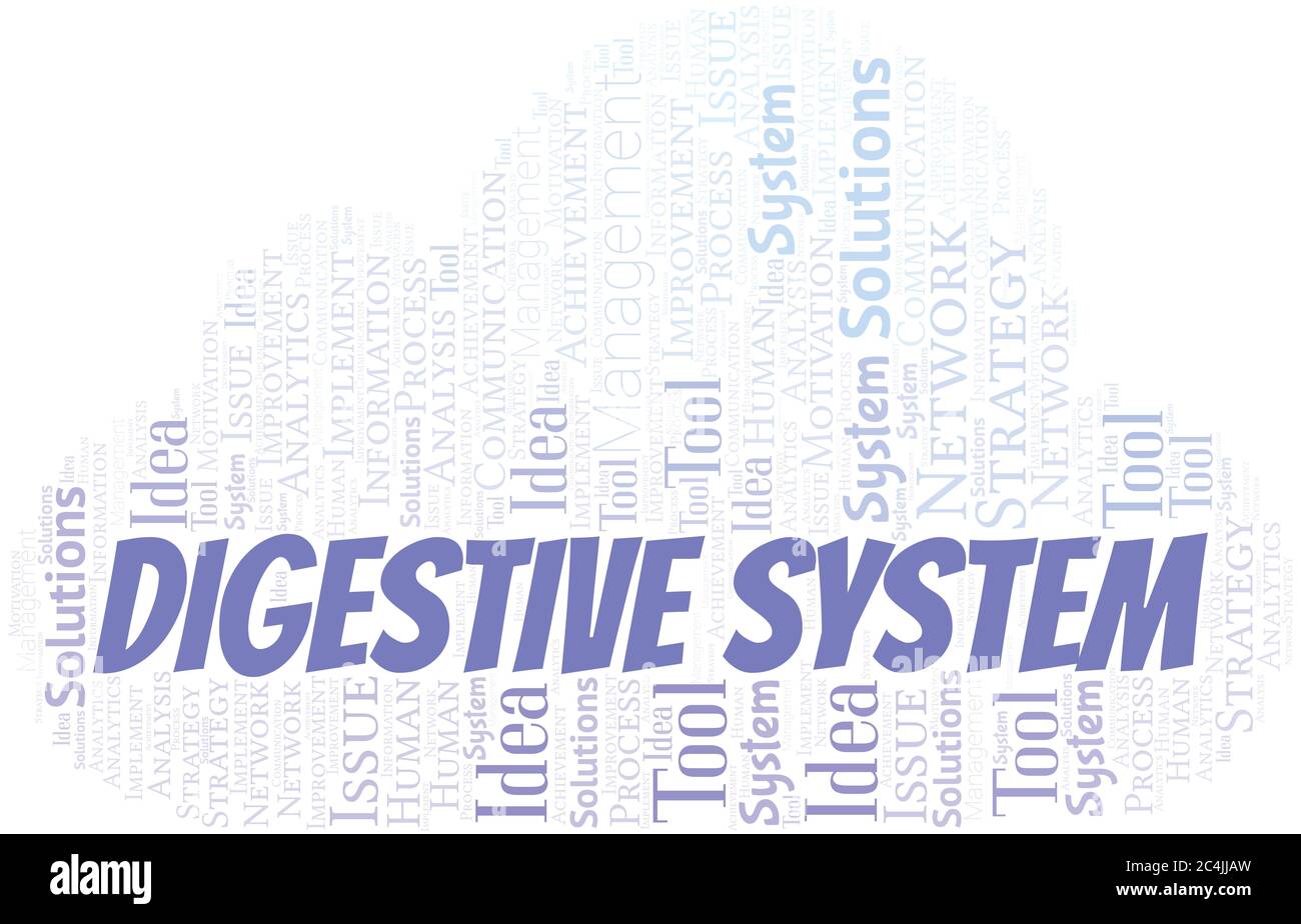 Digestive System typography vector word cloud. Wordcloud collage made with the text only. Stock Vector
