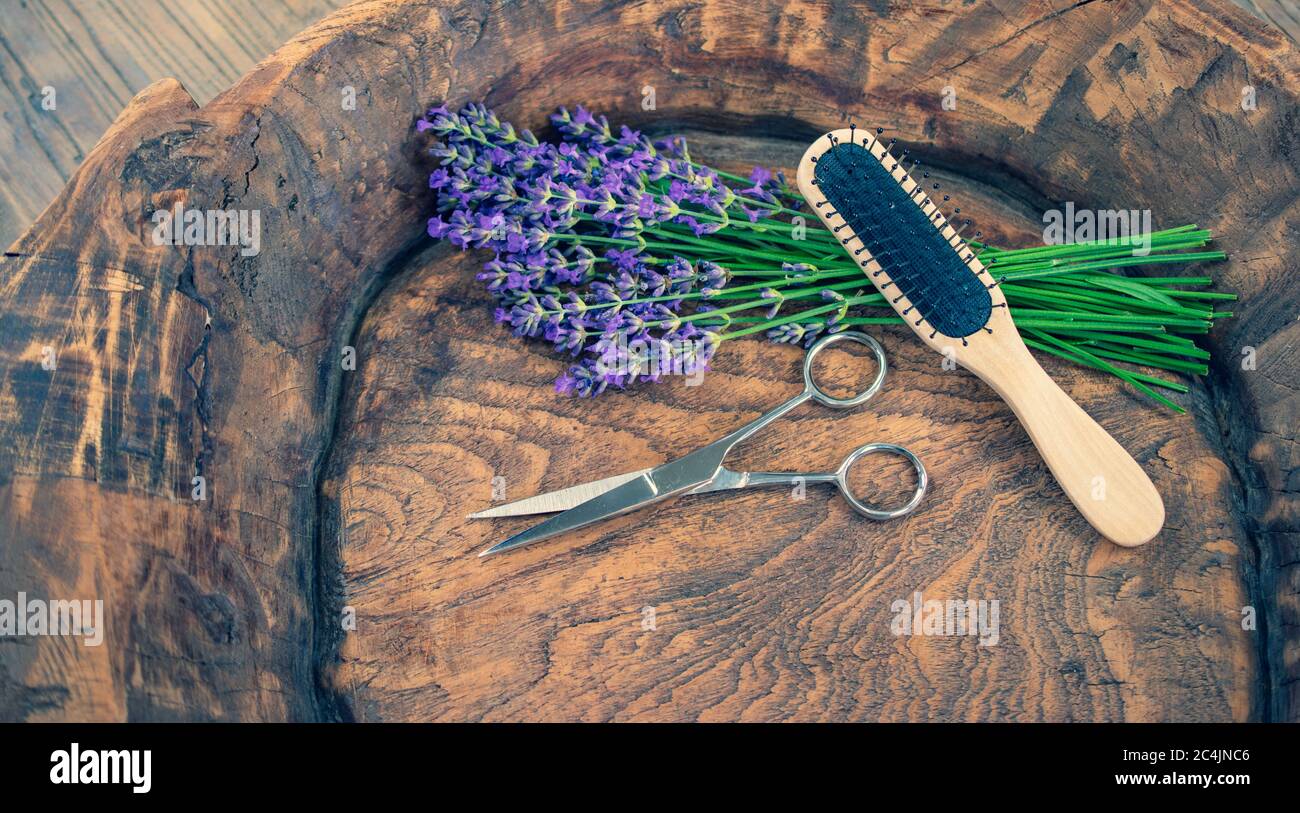 Hair stylist concept with lavender flowers. Stock Photo