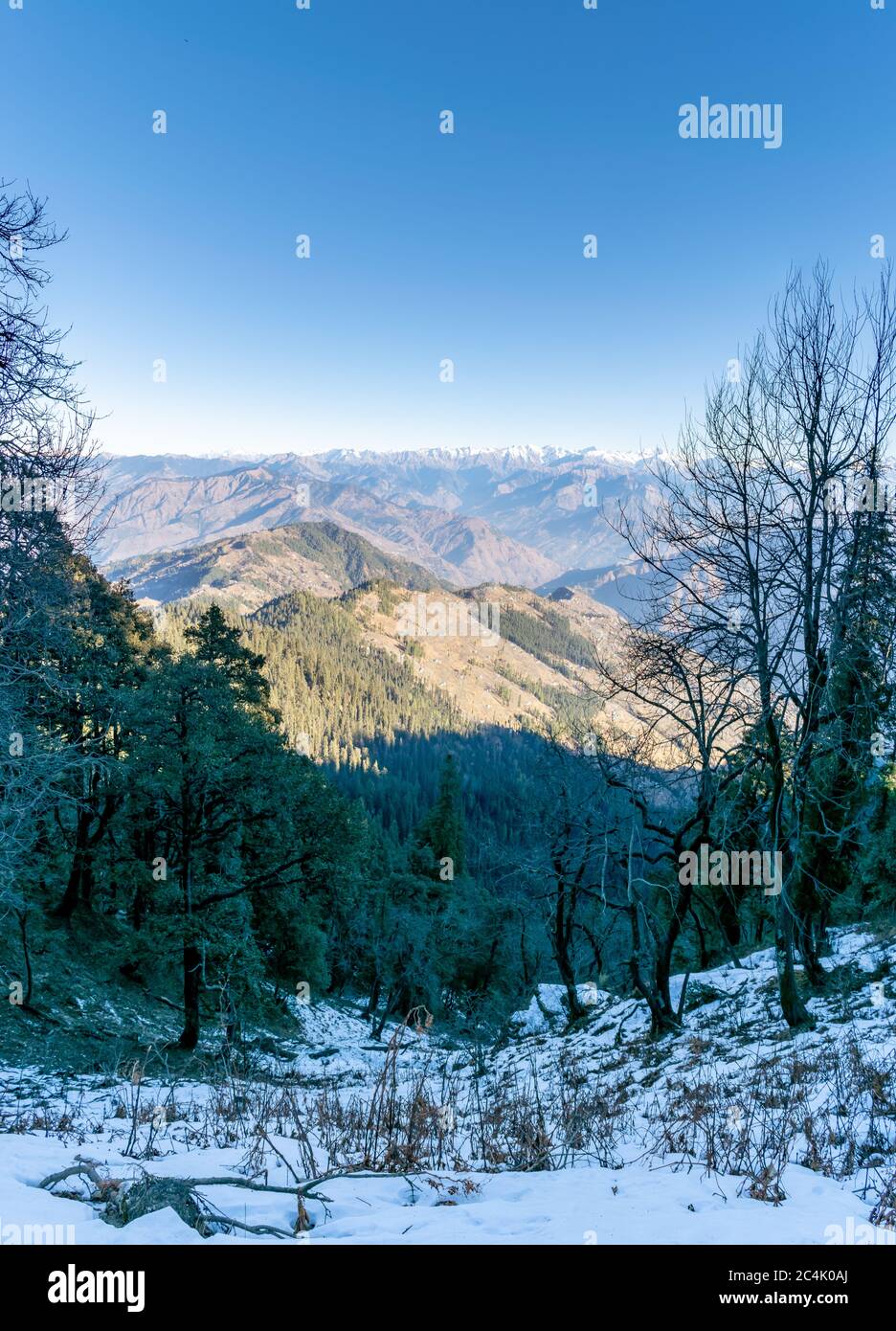 Shivalik Range of the Himalayas, Narkanda Valley, Himachal Pradesh a