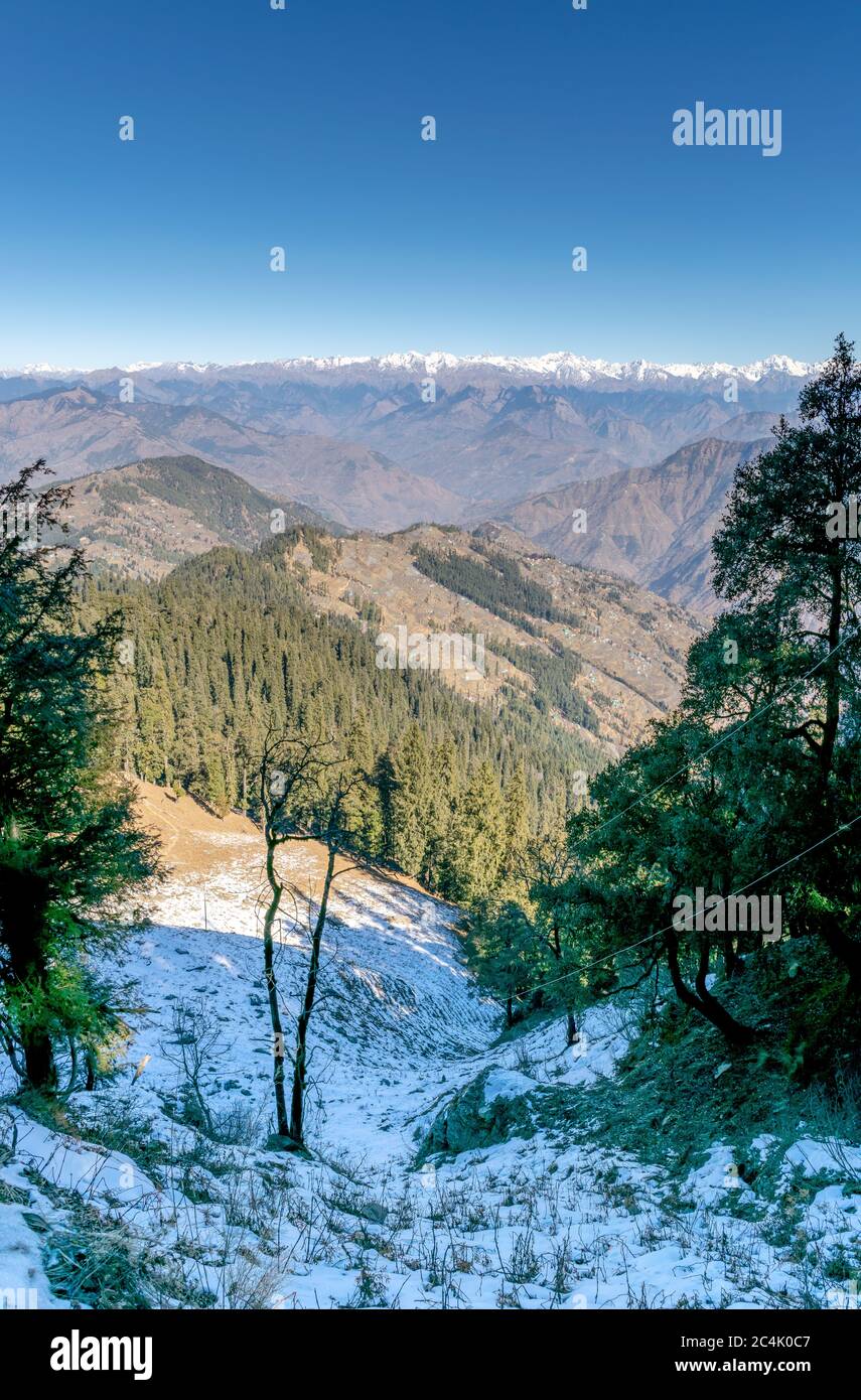 Shivalik Range of the Himalayas, Narkanda Valley, Himachal Pradesh a