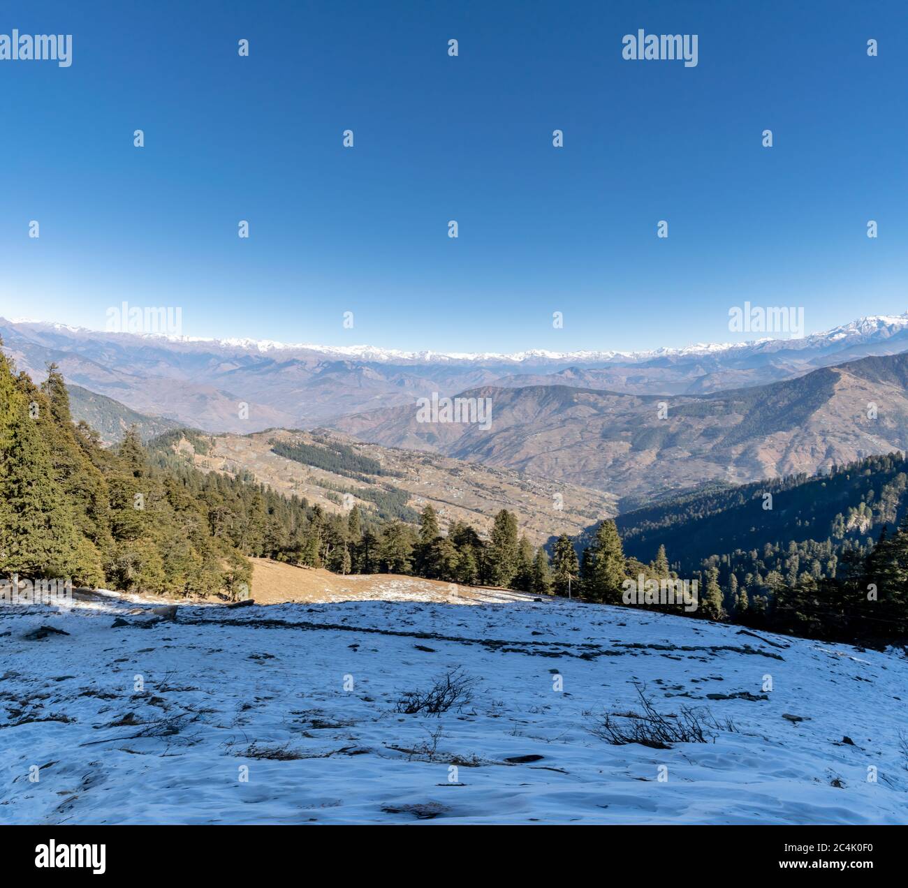 Shivalik Range of the Himalayas, Narkanda Valley, Himachal Pradesh a