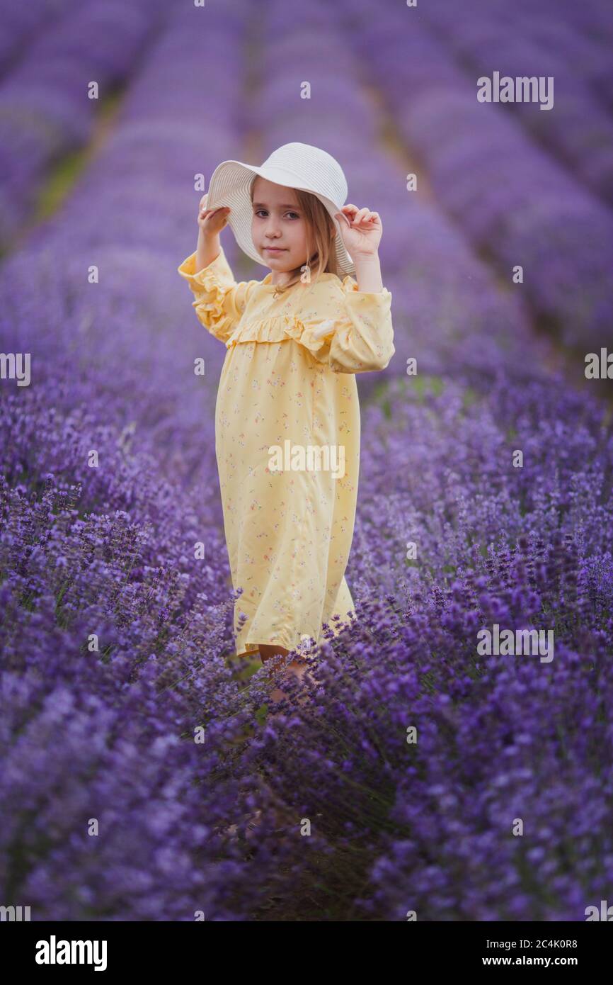 Smiling small girl in yellow dress and white hat running in a lavender ...