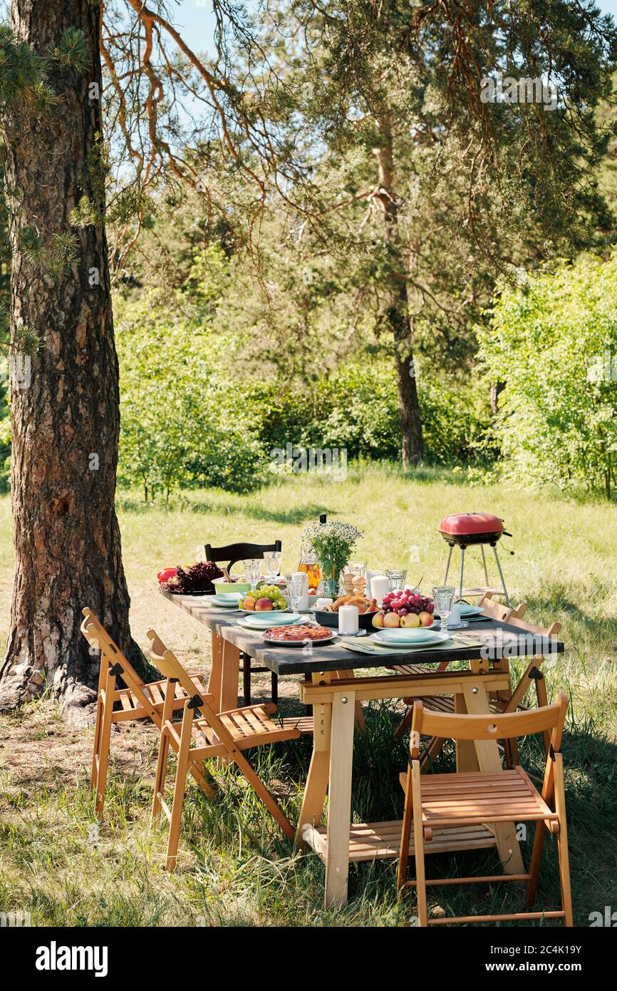 Several wooden chairs aroung table served with homemade food and drinks for outdoor dinner under pine tree on sunny summer day Stock Photo