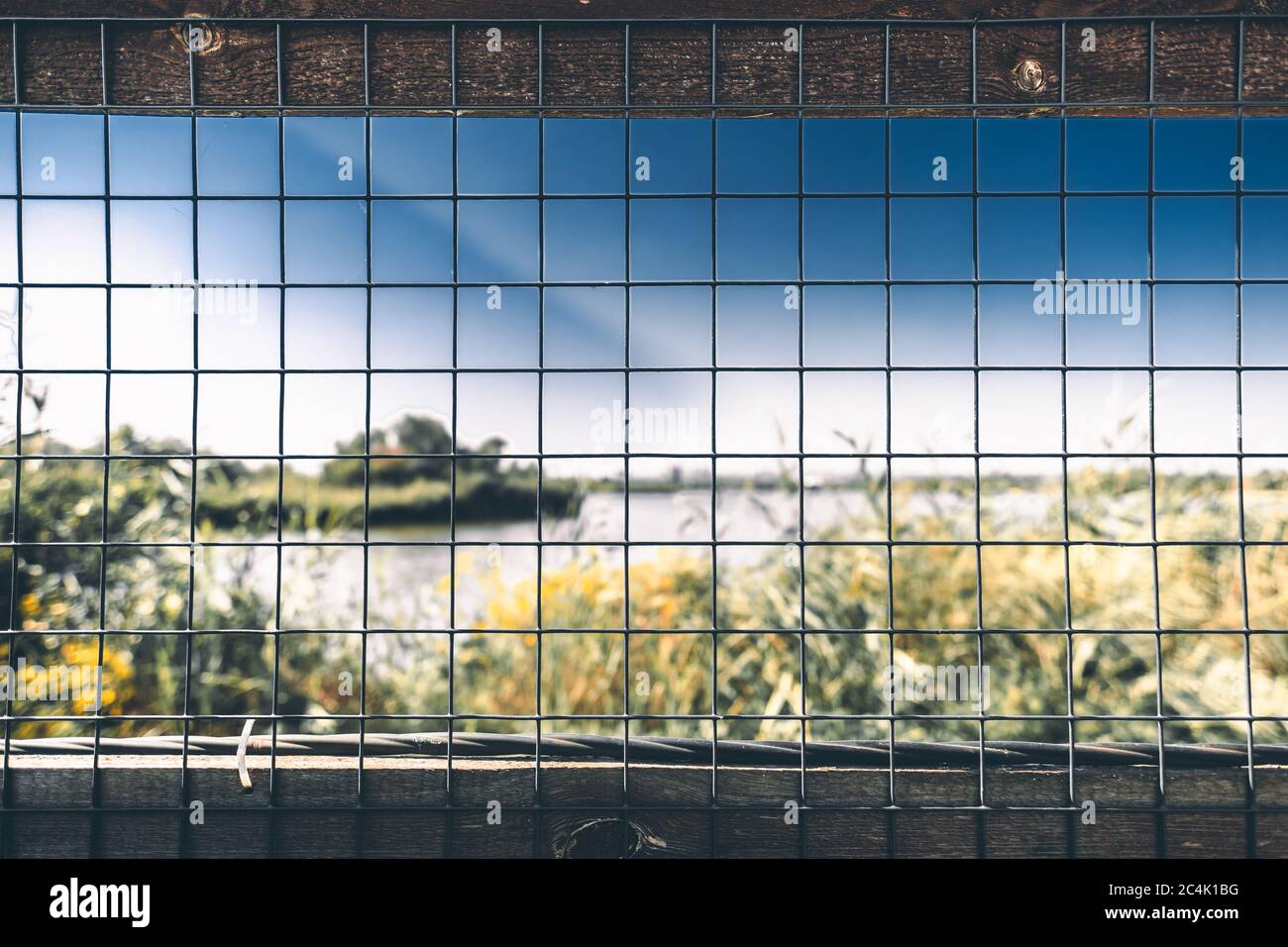 Blurred background, with a metal fence Stock Photo - Alamy