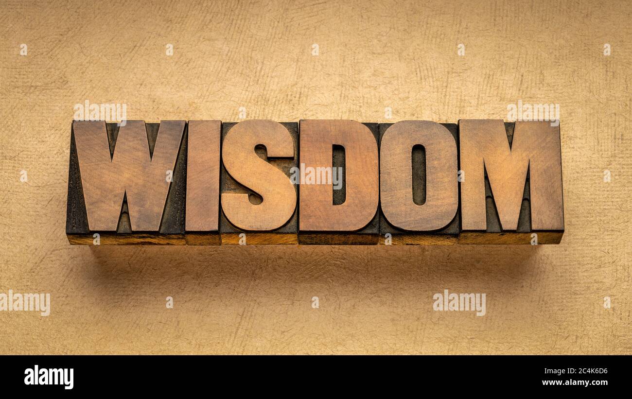 wisdom - word abstract in vintage letterpress wood type against textured paper, knowledge, experience, education, personal development and life concep Stock Photo