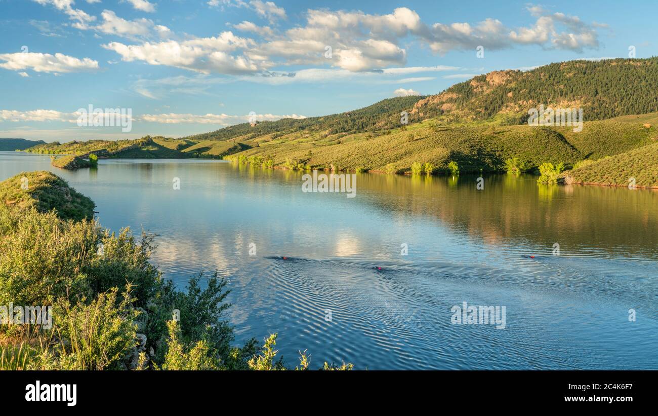 open water swimmers with  swim buoys on a calm lake, summer morning workout Stock Photo