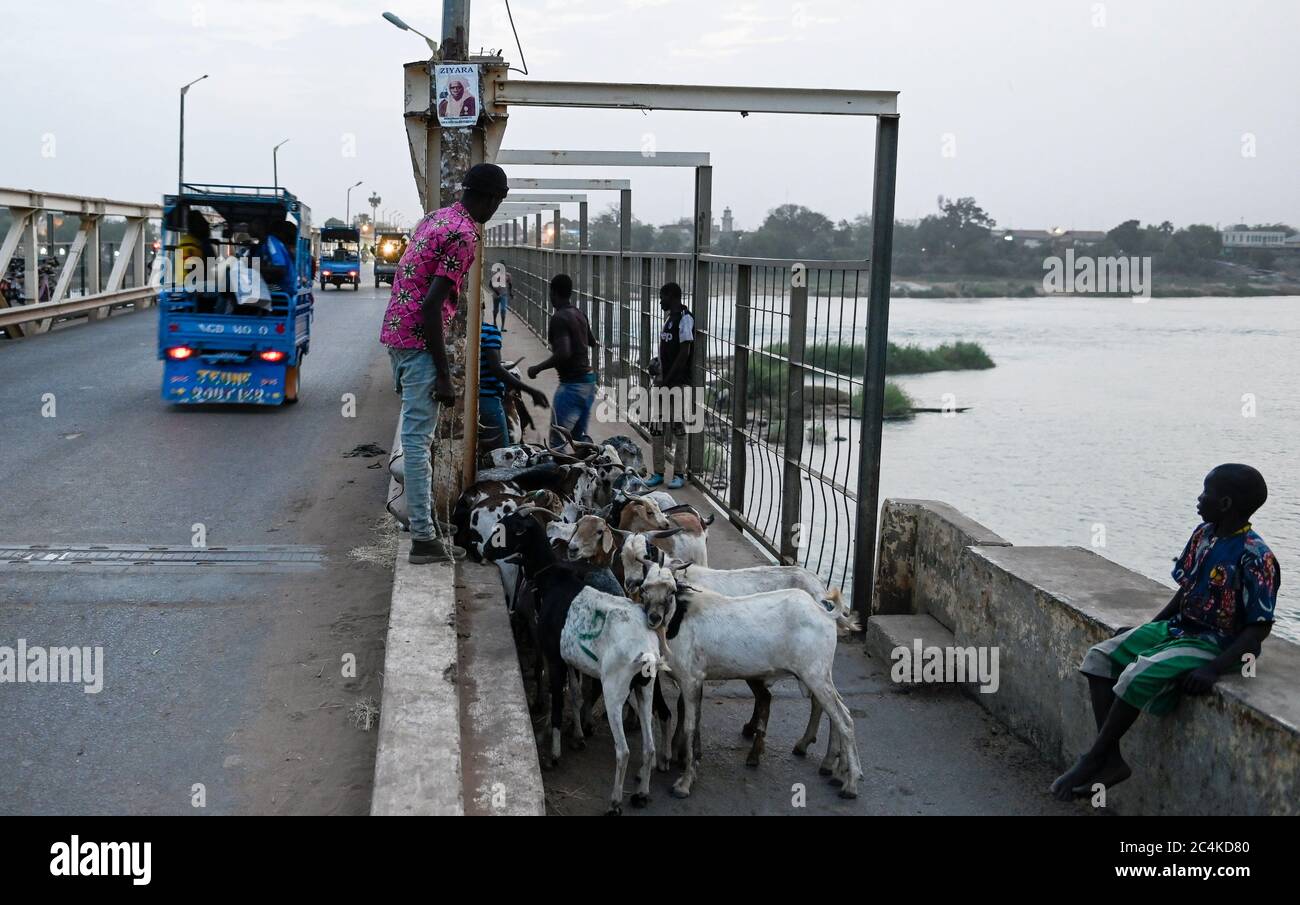 MALI, Kayes, bridge on Senegal river, cattle transport / Brücke über den Senegal Fluss Stock Photo