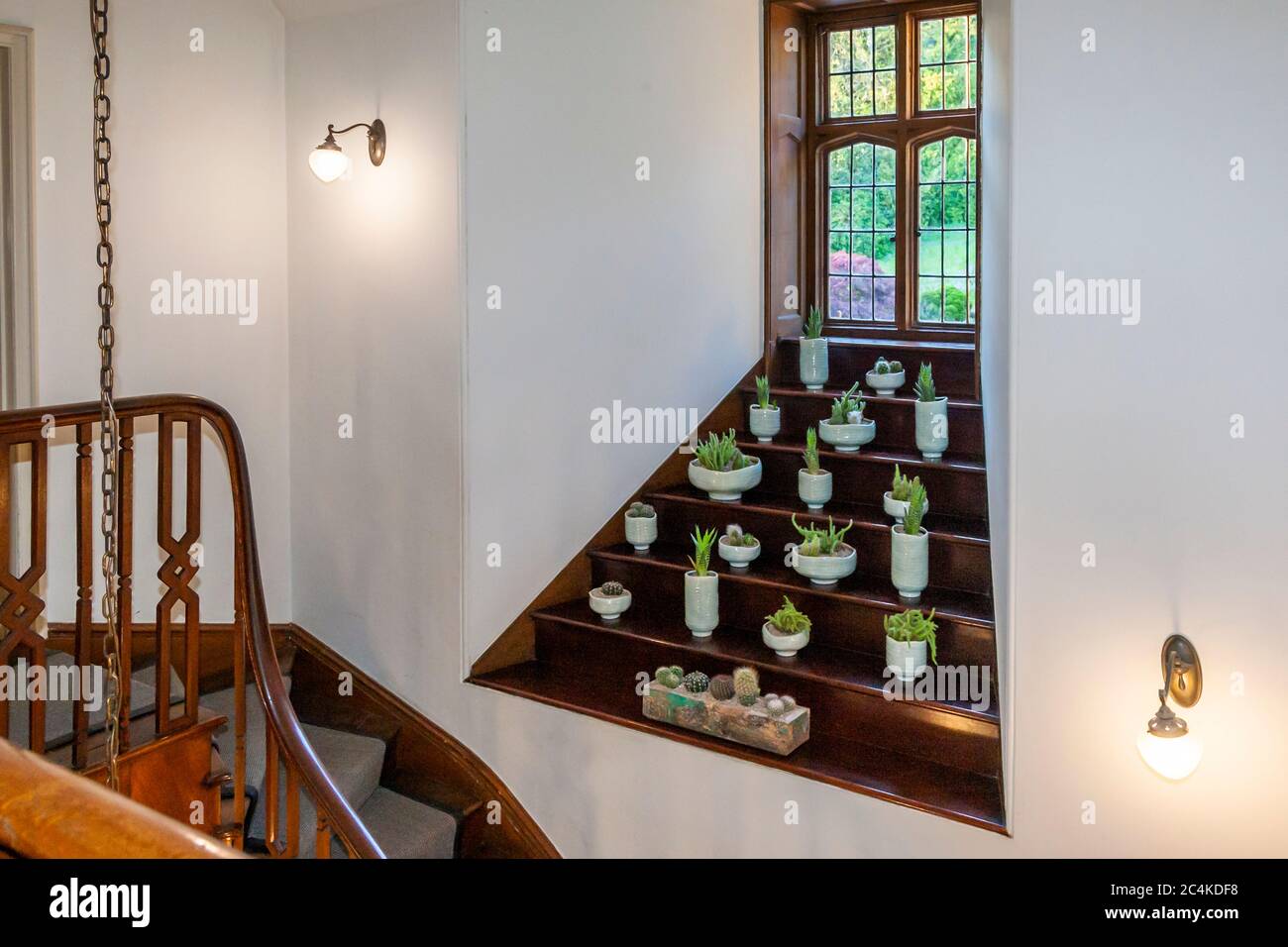 Decoration inspiration can be found in every corner of a house designed by Olga Polizzi. Here window with cactus collection in hotel Endsleigh in West Devon, England. Stock Photo