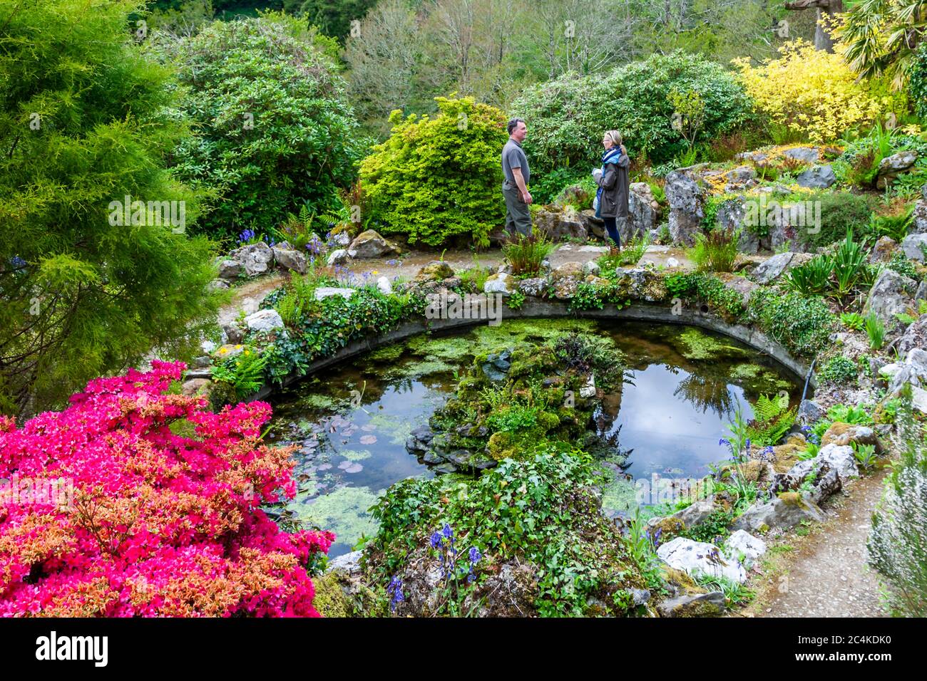 Endsleigh Hotel in West Devon, England. Ben Ruscombe-King, chief gardener in Endsleigh, points from the lily pond to the Duchess of Bedford's little dairy in the distance Stock Photo