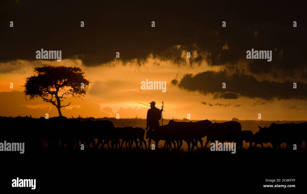 Maasai mara tribe sunset hi-res stock photography and images - Alamy