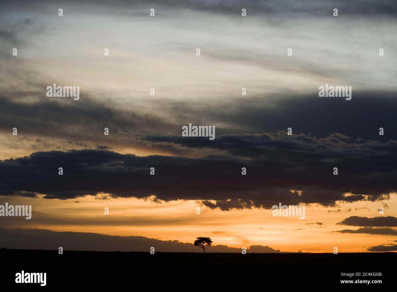 Sunset in the Maasai Mara National Park, Kenya, East Africa Stock Photo ...
