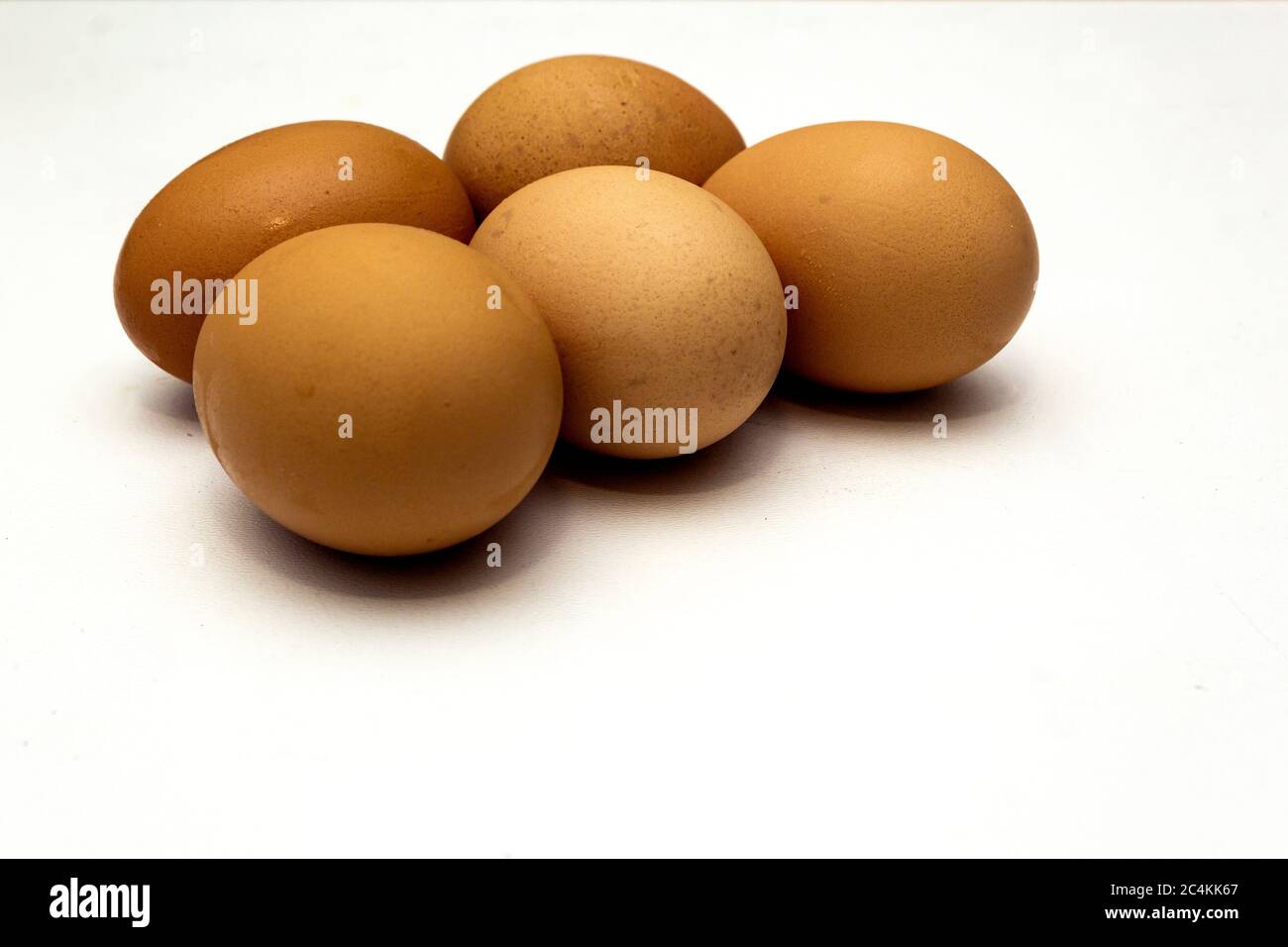 5 chickens egg under the high key. The egg is a very good protein