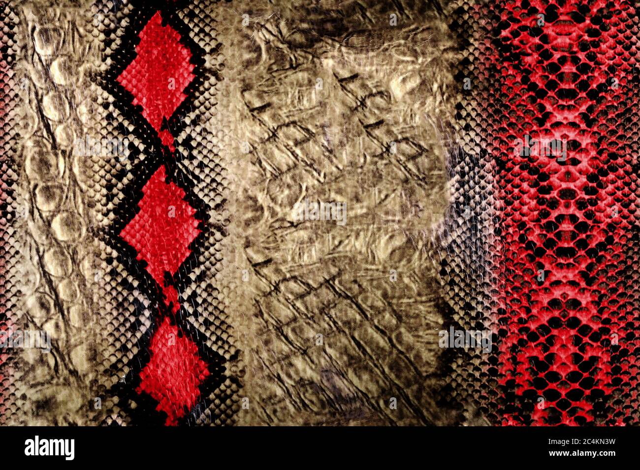 Skin snake rattlesnake texture hi-res stock photography and images - Alamy