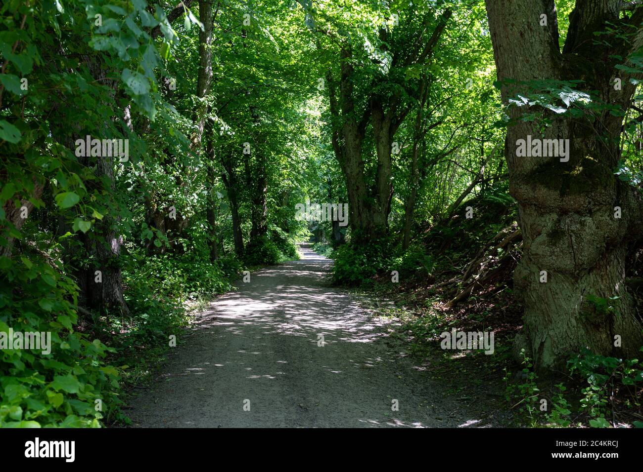Path in Vallisaari, former military island, now a day trip destination, in archipelago of Helsinki, Finland Stock Photo