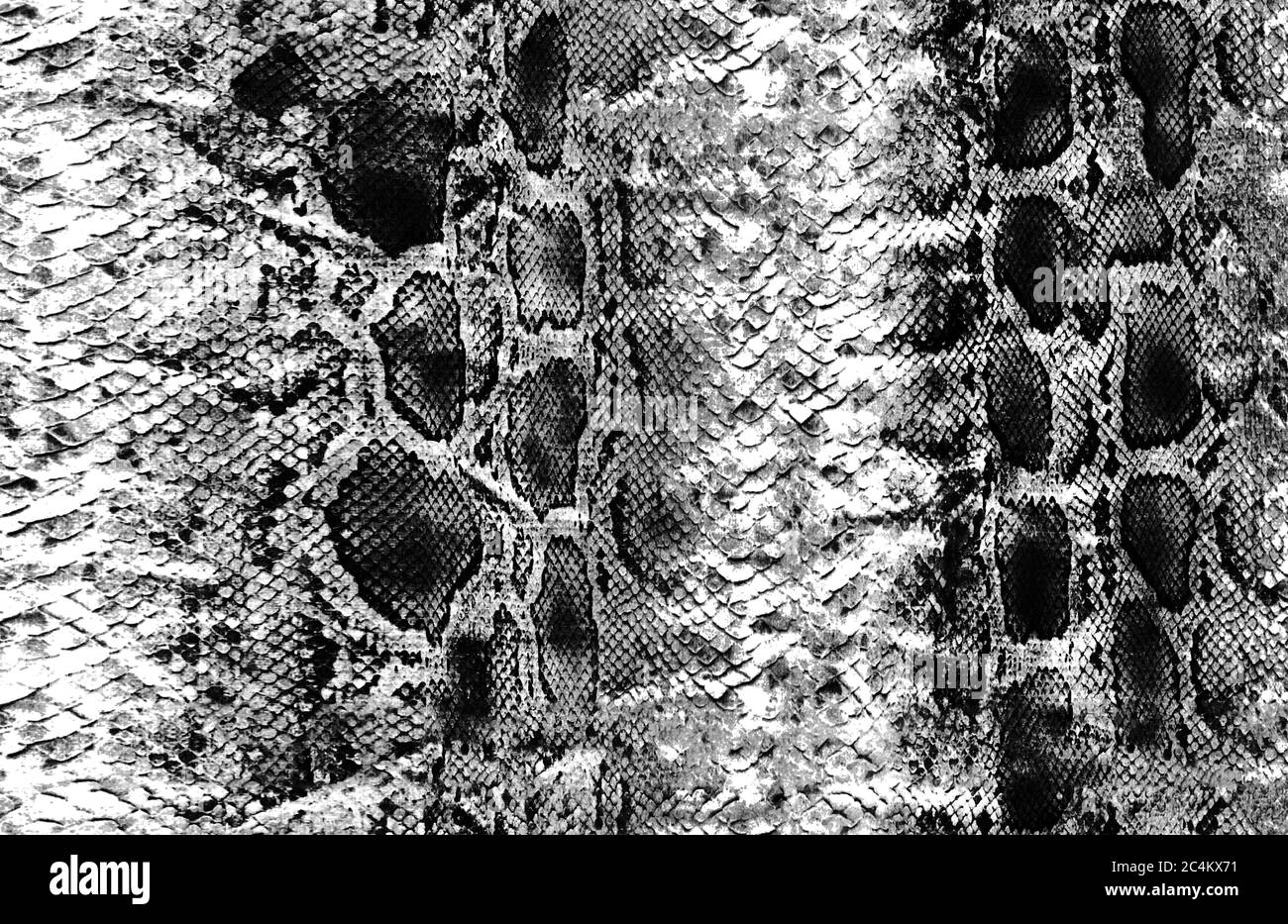 Skin texture wildlife Black and White Stock Photos & Images - Alamy