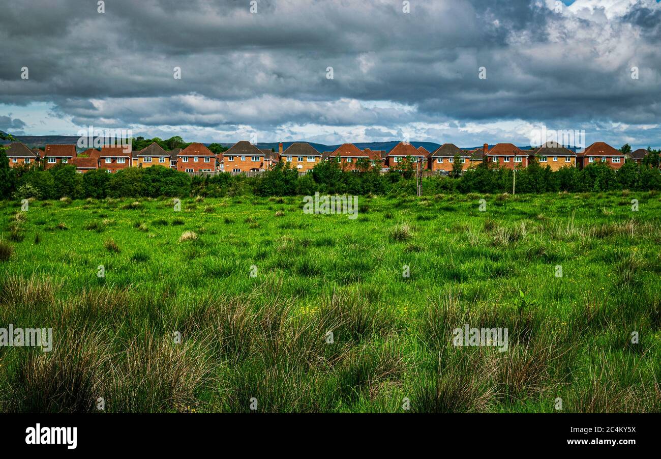 Row of brick houses seen across the green field in Lanarkshire, Scotland Stock Photo