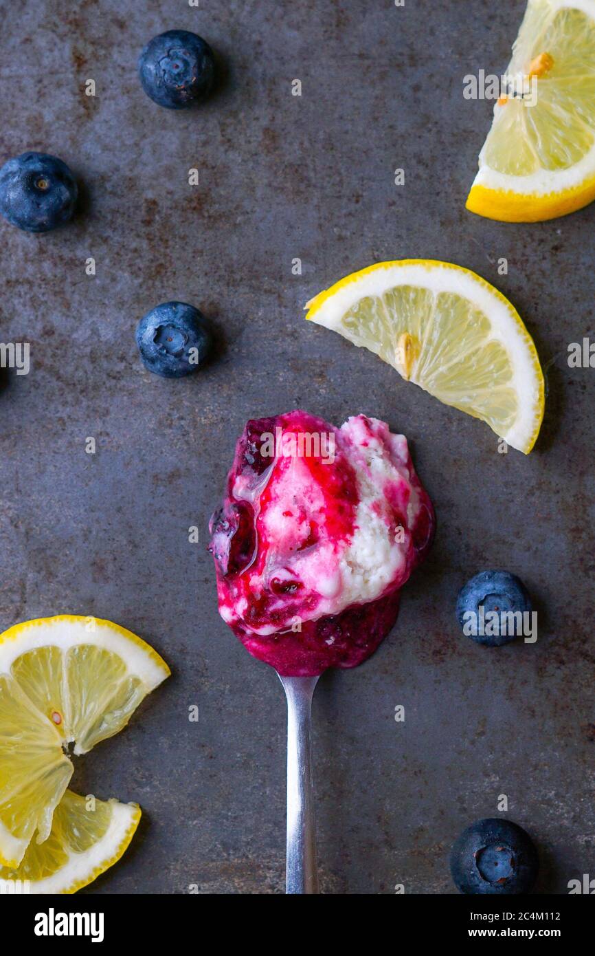 Lemon Frozen Yogurt with Blueberry Sauce Stock Photo
