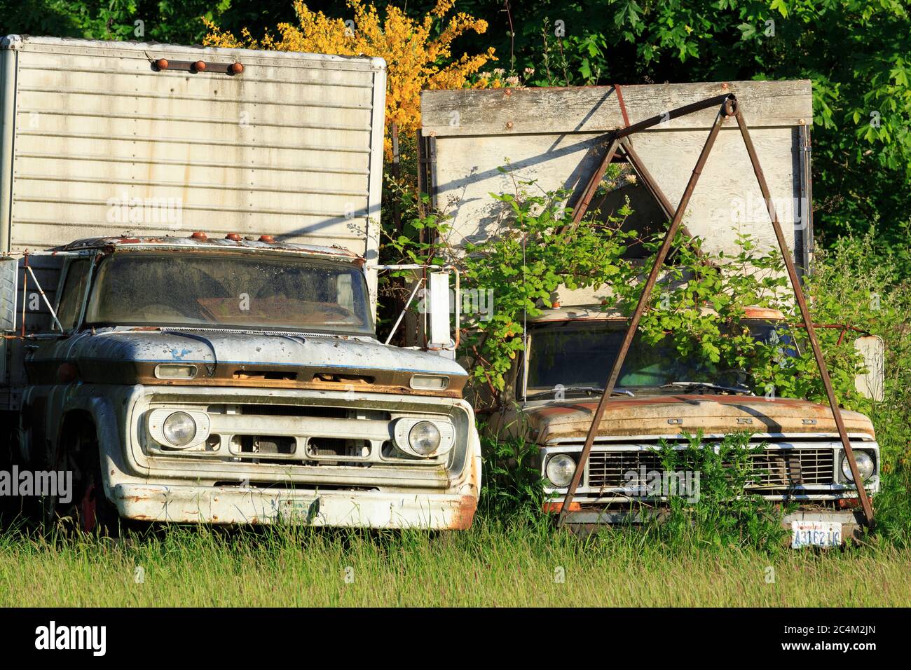 Abandoned vehicles on Vashon State,USA Stock