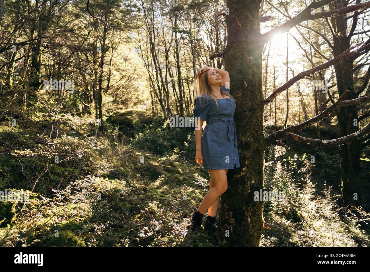 Beautiful asian woman dressed blue jean relaxing in rainforest with sunlight. Stock Photo