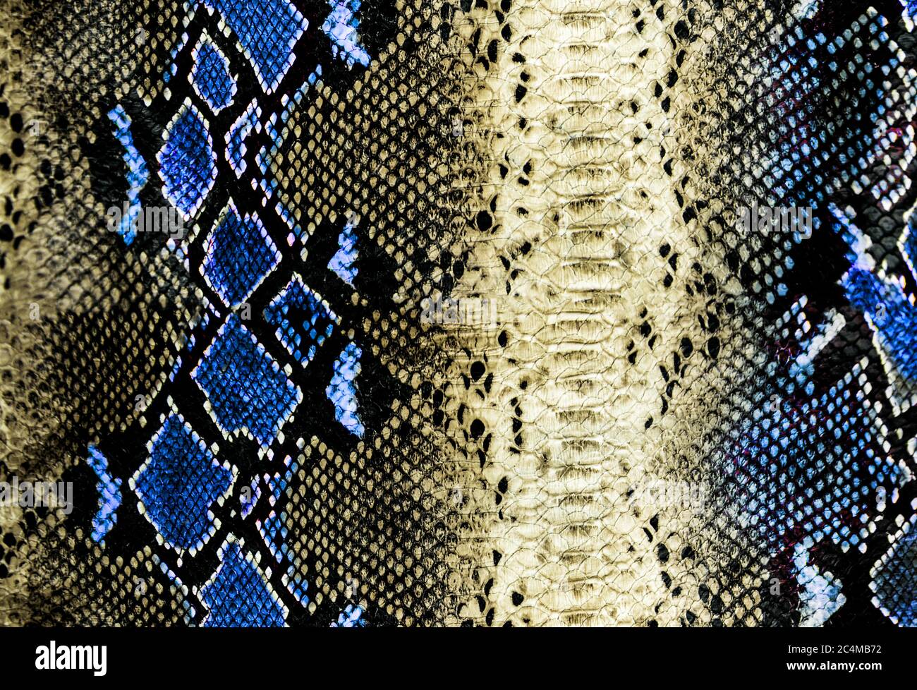 very beautiful very special snake skin python trendy background