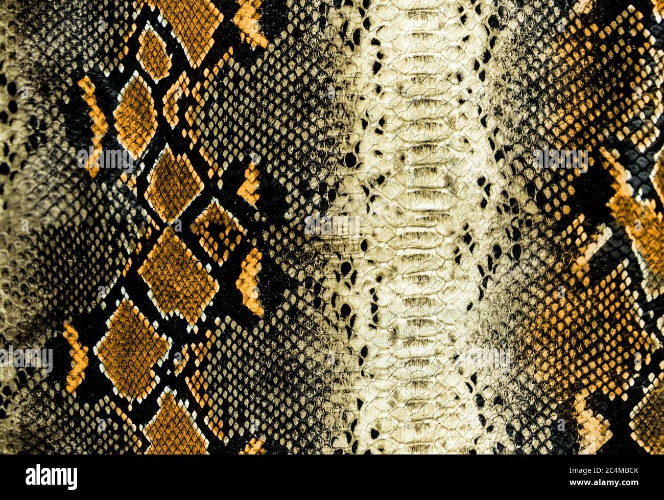 Python Skin Wallpaper