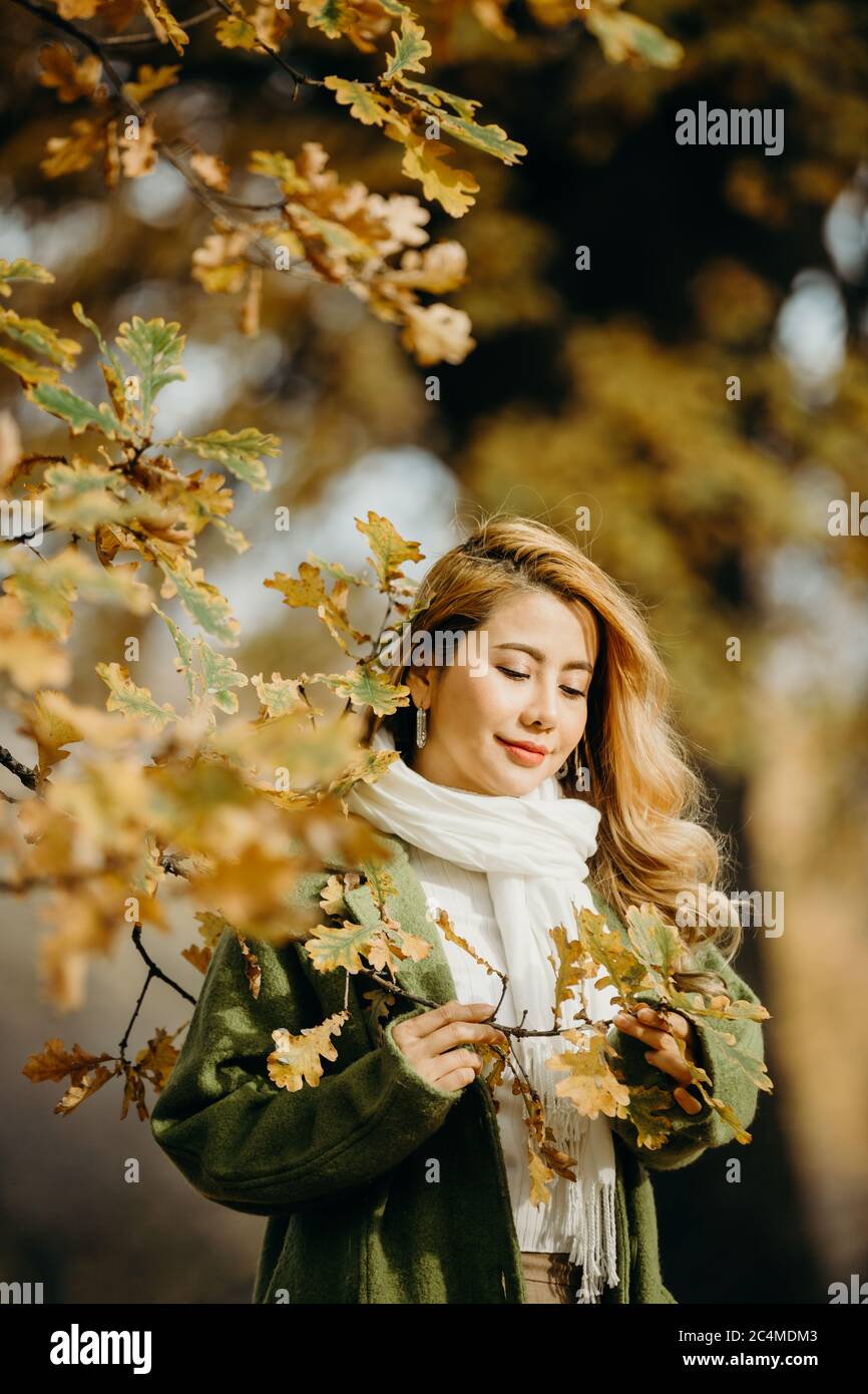 Beautiful Autumn Asian woman with Autumn Leaves on Fall Nature Background. Stock Photo