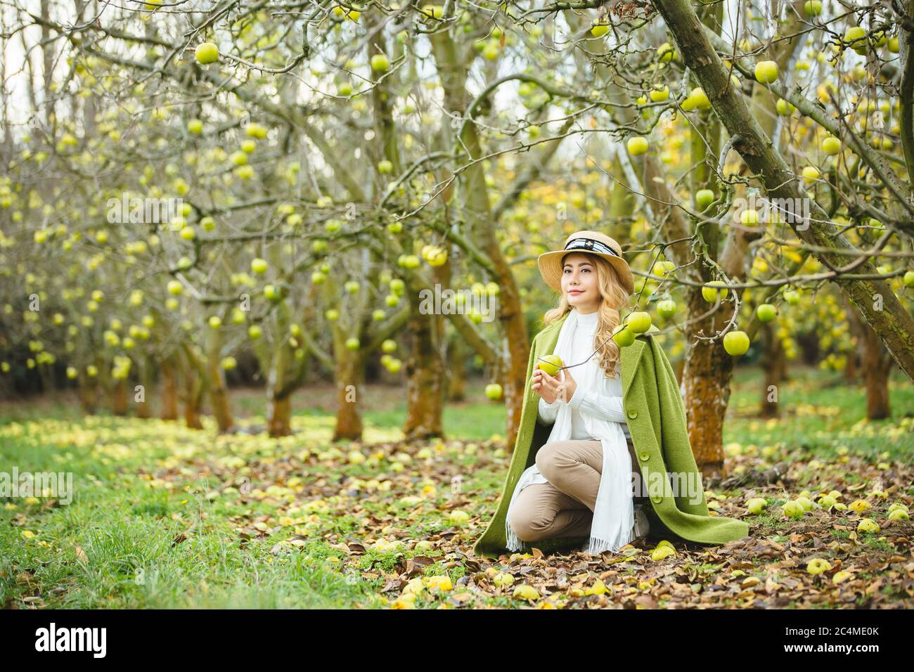 Beautiful asian woman picking a green apple in apple orchard. Stock Photo