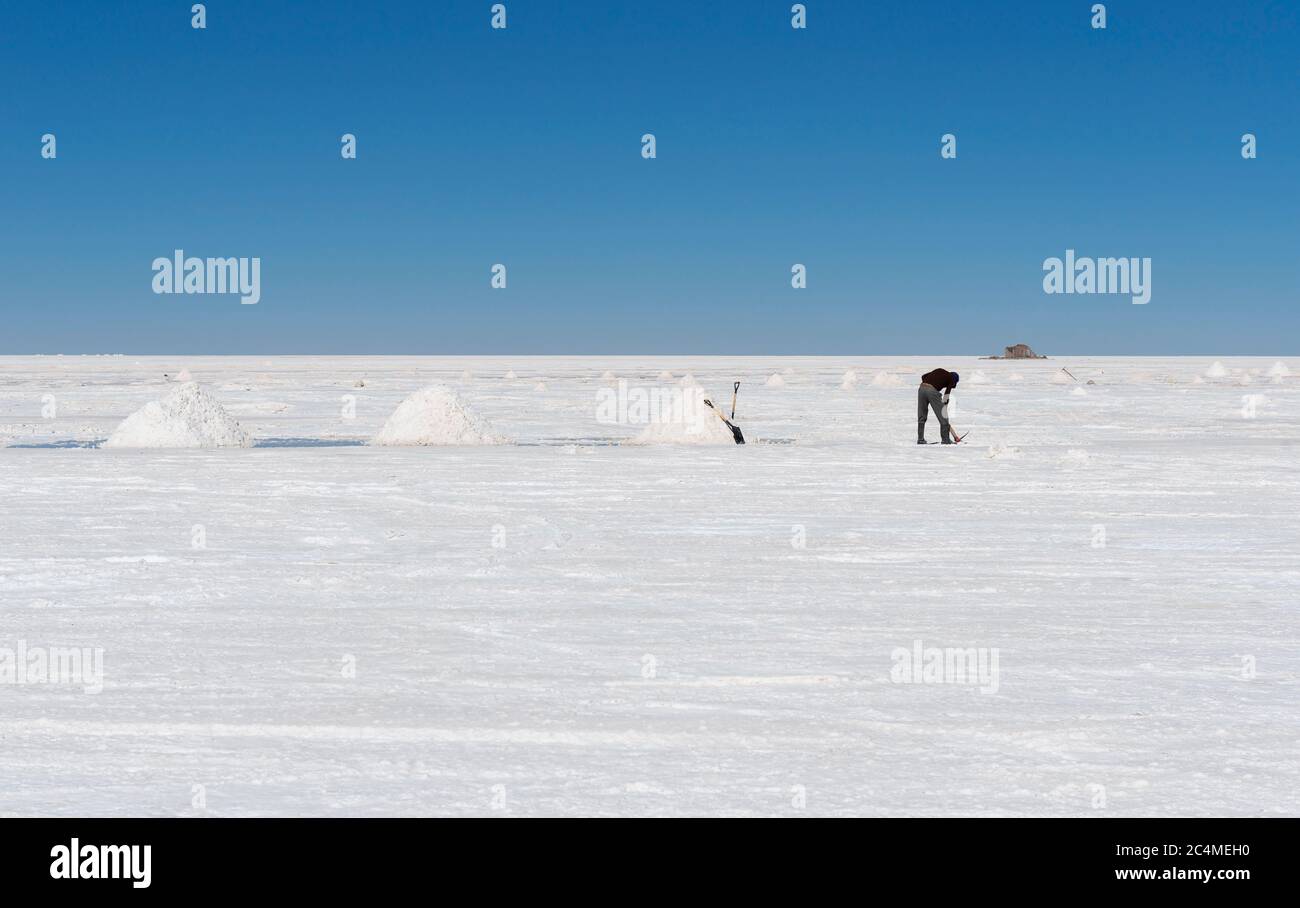 A bolivian salt miner extracting salt with a shovel and making salt pyramids for the drying process, Uyuni salt flat desert, Bolivia. Stock Photo