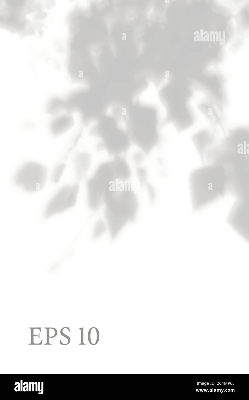 Transparent natural plant shadow. Light effect overlay. Mesh grid ...