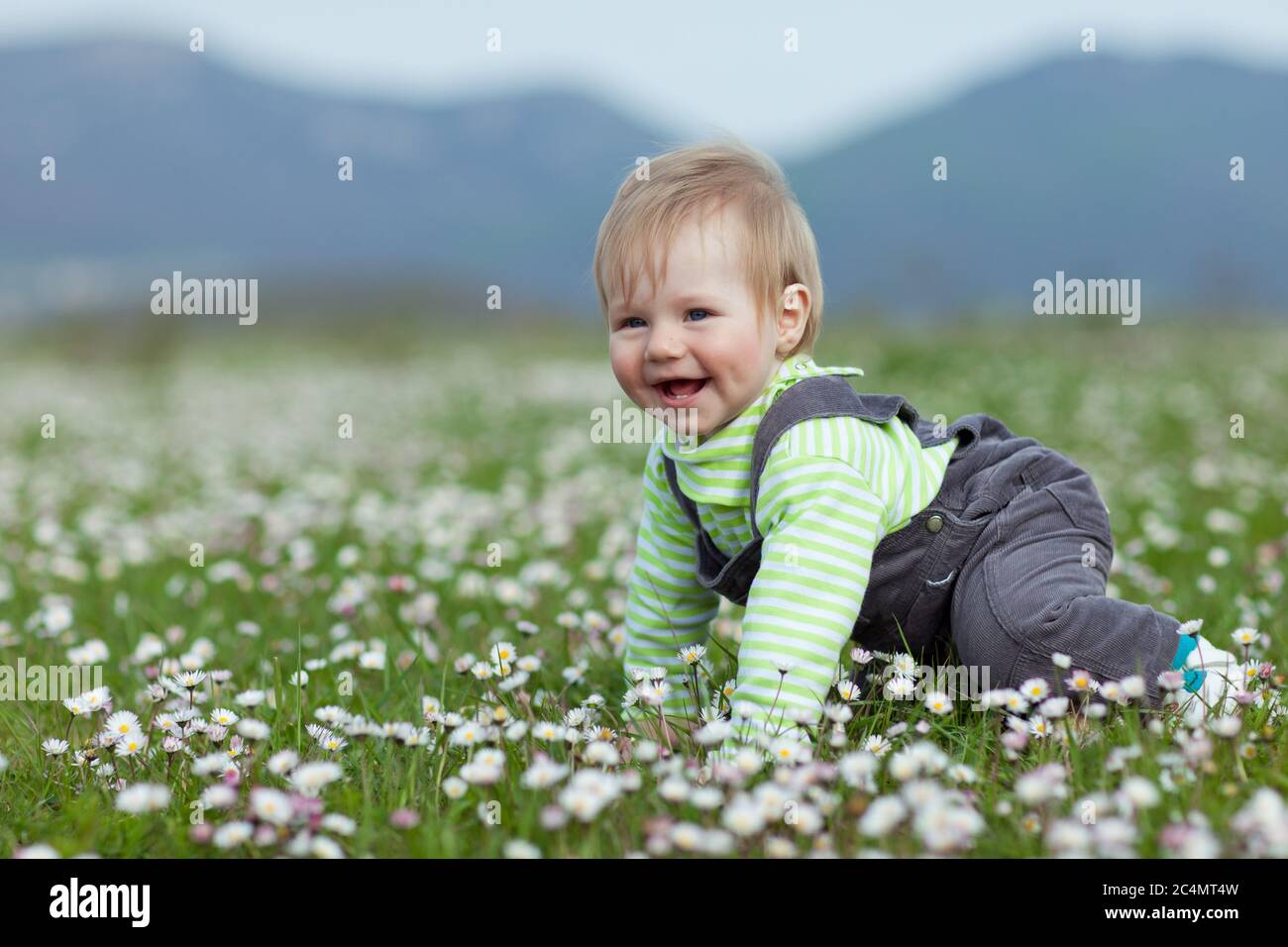 Little baby in nature. Toddler on the green grass Stock Photo - Alamy