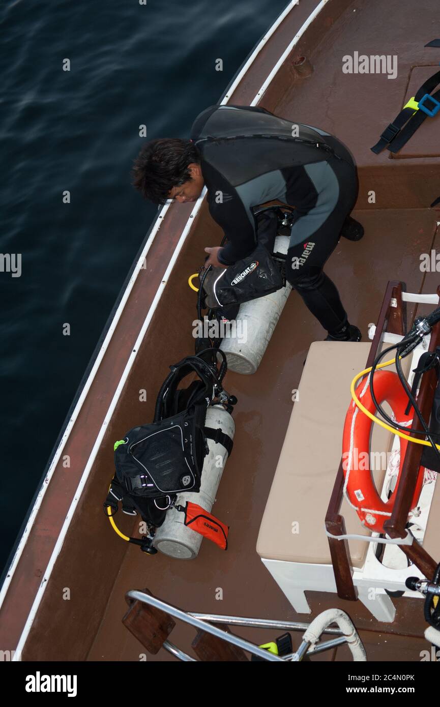 diving in oman Stock Photo Alamy