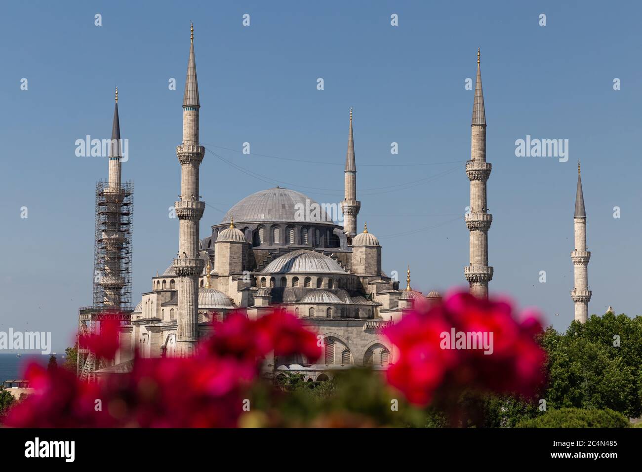 Sultanahmet Blue Mosque in Sultanahmet, Istanbul City, Turkey Stock ...