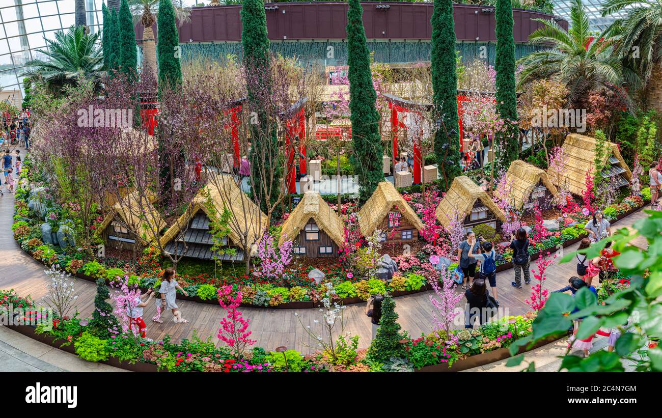 Panorama of Sakura Matsuri 2020 at Gardens by the Bay Flower Dome Conservatory Stock Photo