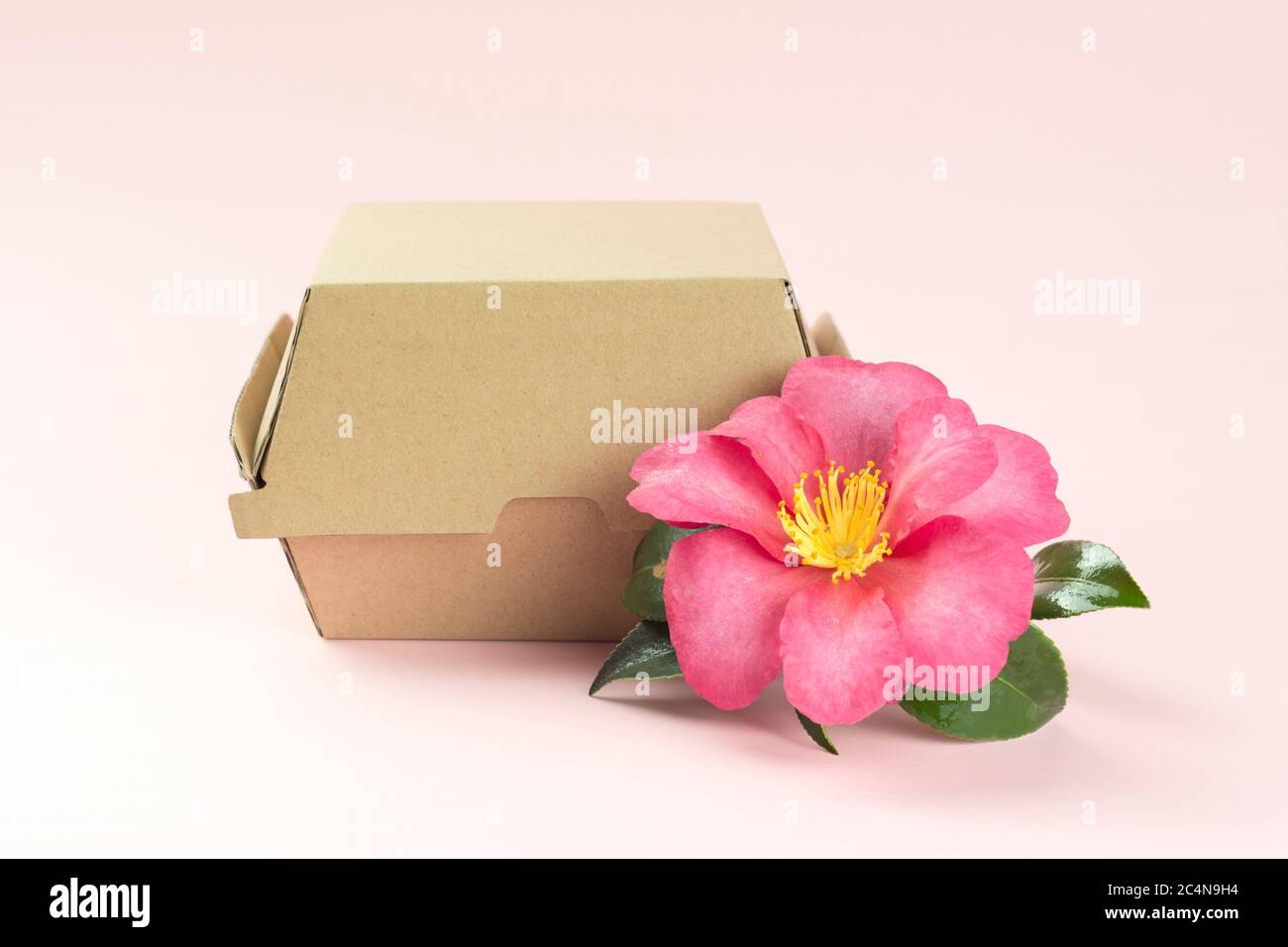 Burger box with flower on light pink background Stock Photo - Alamy