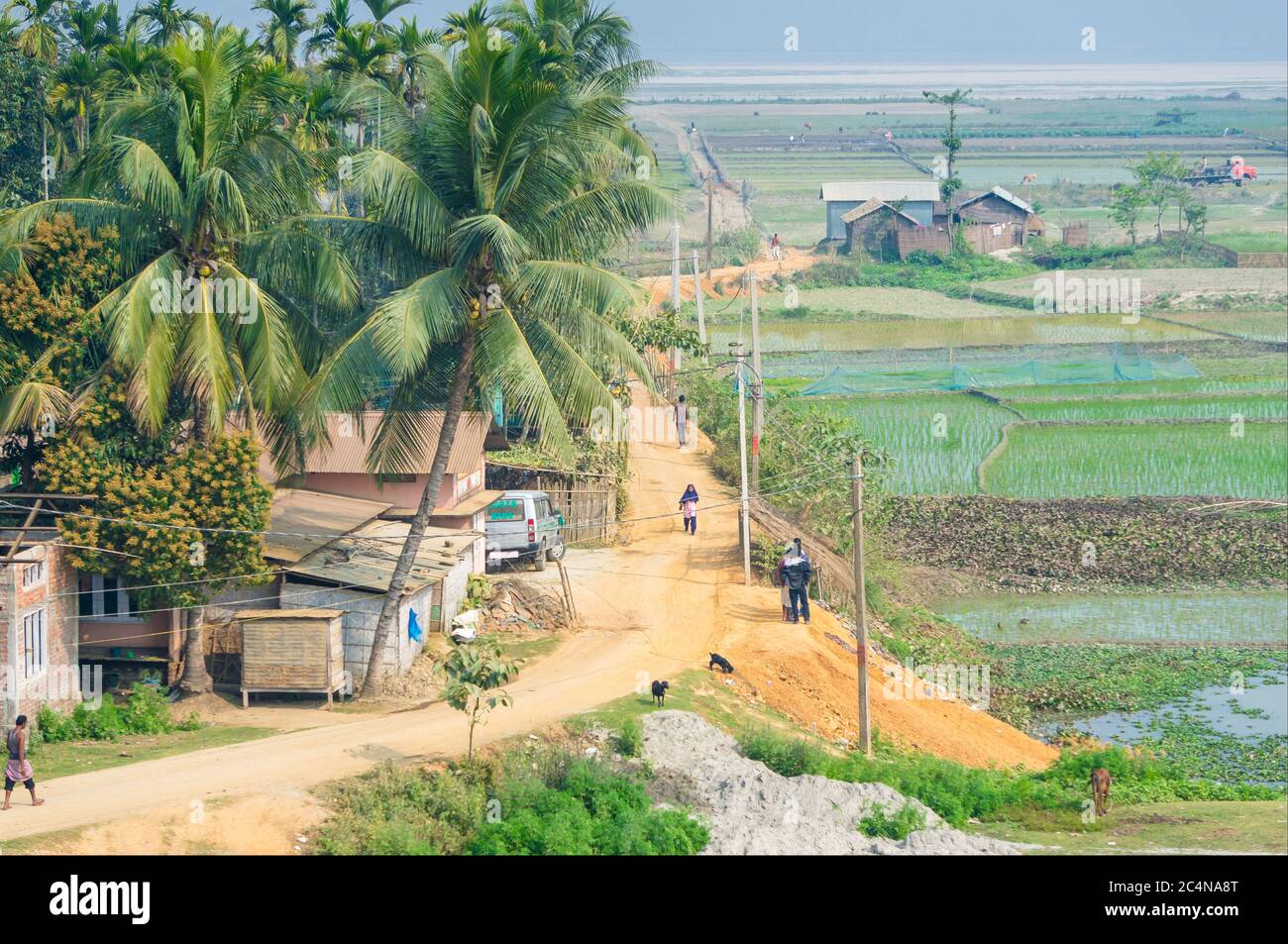 Village Road India Hi Res Stock Photography And Images Alamy