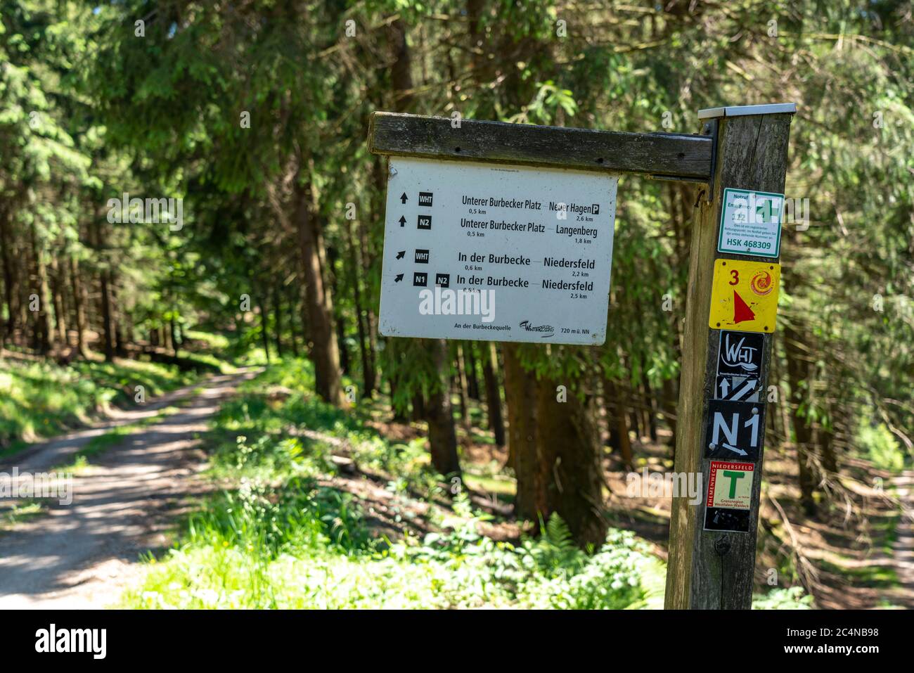 Forest, landscape on the Langenberg, near Niedersfeld, in the Hochsauerlandkreis, highest mountain in NRW, signpost for hikers,Germany Stock Photo