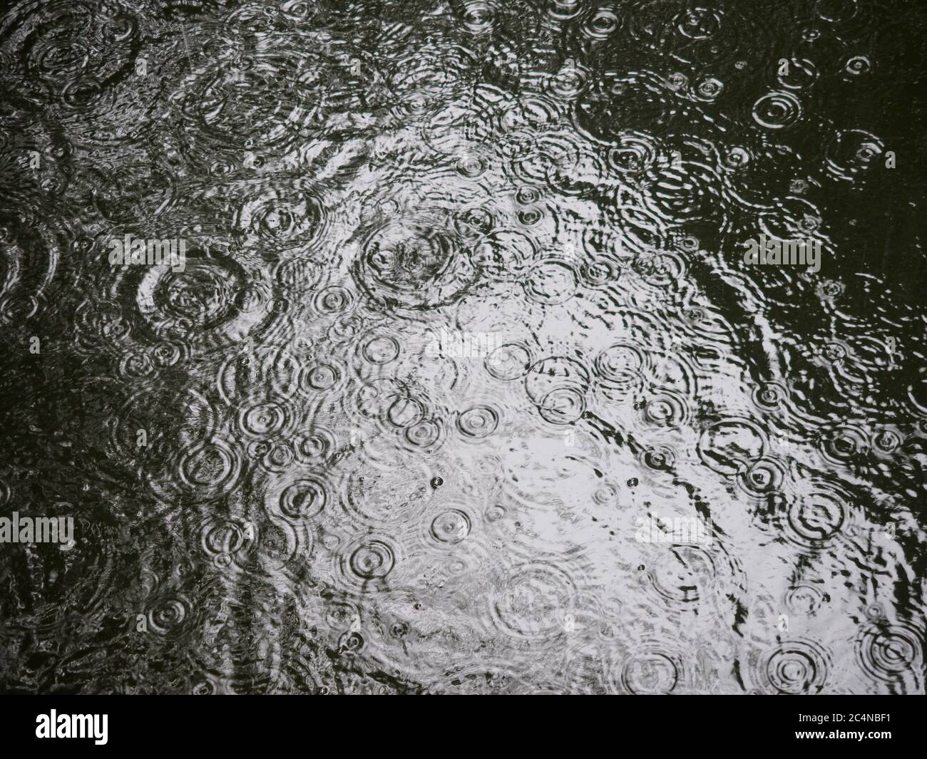 Heavy rain falling and making ripples on a pond in Tokyo, Japan. Stock Photo