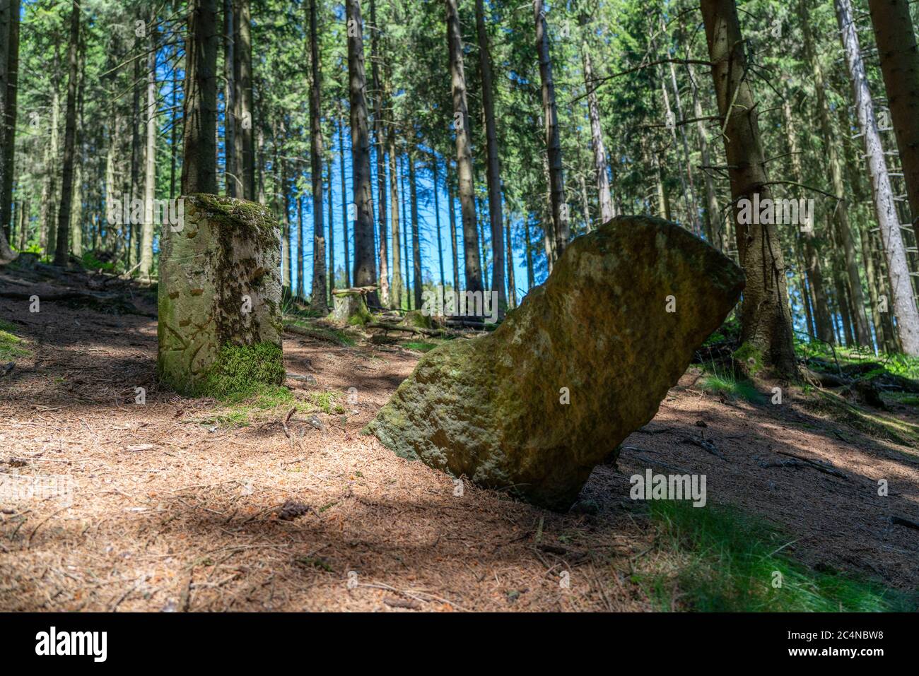 Forest, landscape on the Langenberg, near Niedersfeld, in the Hochsauerlandkreis, highest mountain in NRW, old border stone, Germany Stock Photo