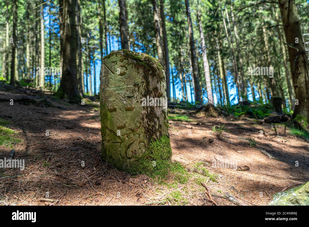 Forest, landscape on the Langenberg, near Niedersfeld, in the Hochsauerlandkreis, highest mountain in NRW, old border stone, Germany Stock Photo