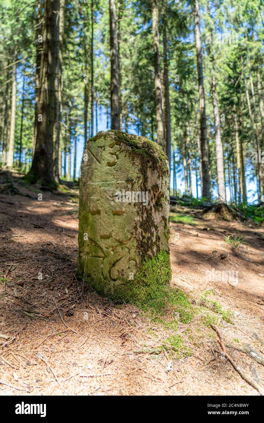 Forest, landscape on the Langenberg, near Niedersfeld, in the Hochsauerlandkreis, highest mountain in NRW, old border stone, Germany Stock Photo