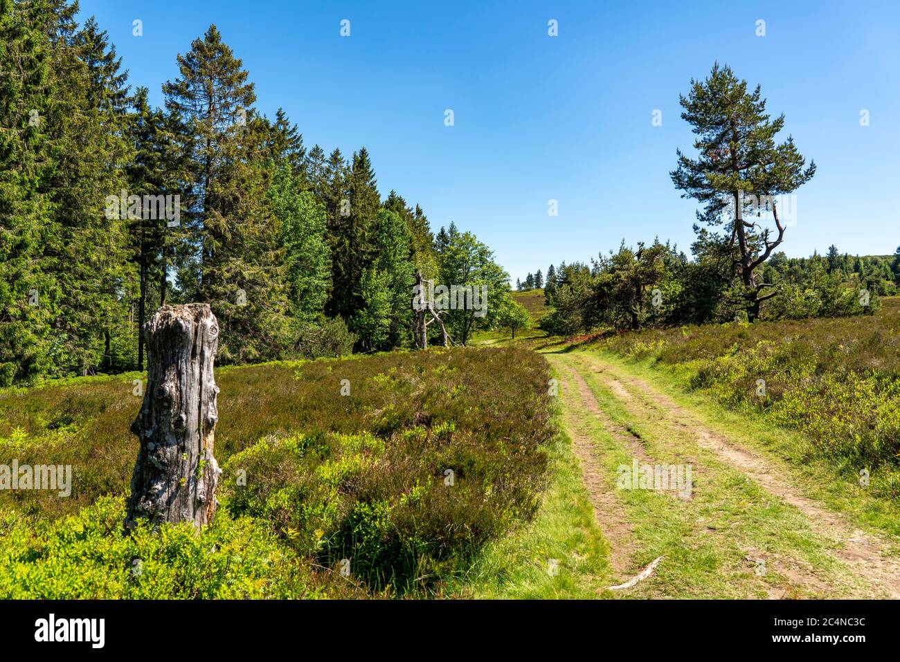 Neuer hagen nature reserve hires stock photography and images Alamy