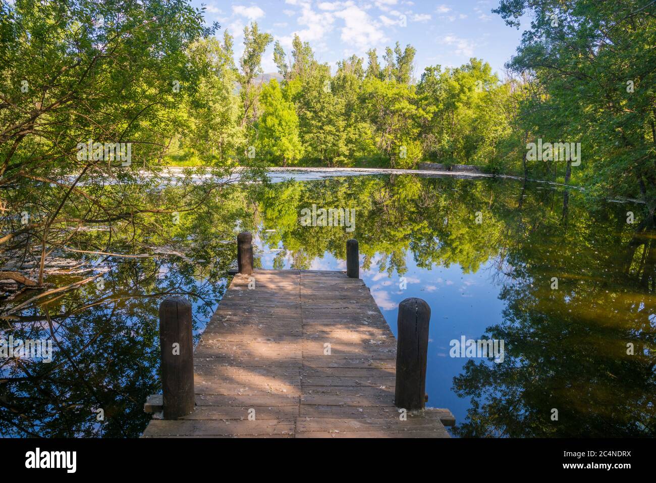 Pond. Finnish Forest, Rascafria, Madrid province, Spain. Stock Photo